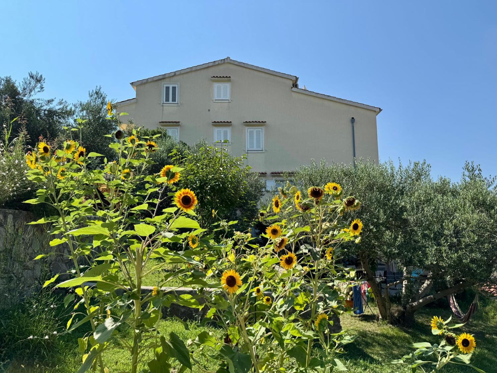 Apartments Maricic Banjol ภายนอก รูปภาพ